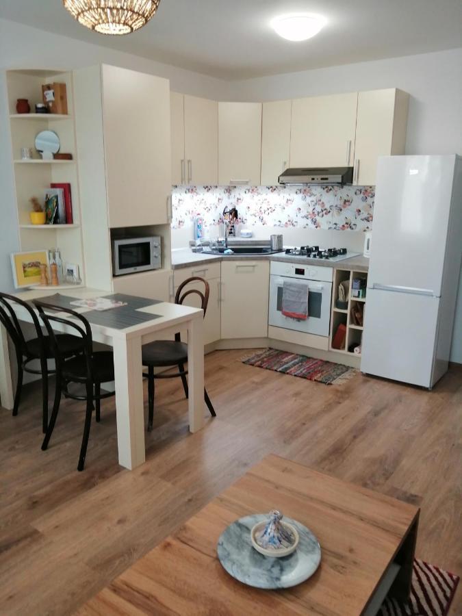 Slavik Apartment Dunajská Streda 外观 照片