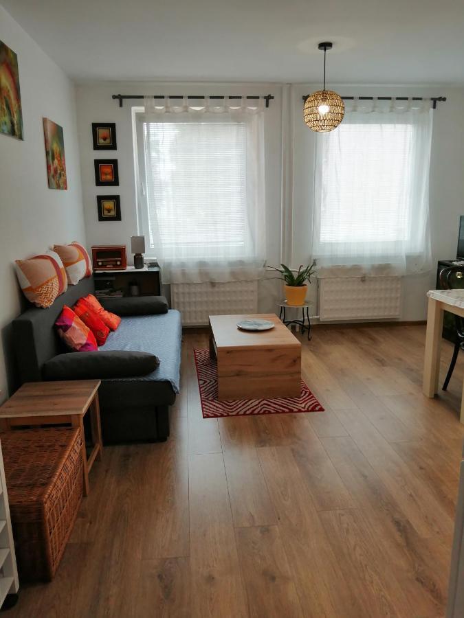 Slavik Apartment Dunajská Streda 外观 照片