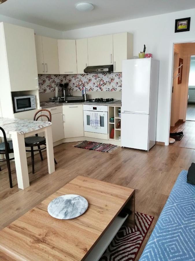 Slavik Apartment Dunajská Streda 外观 照片