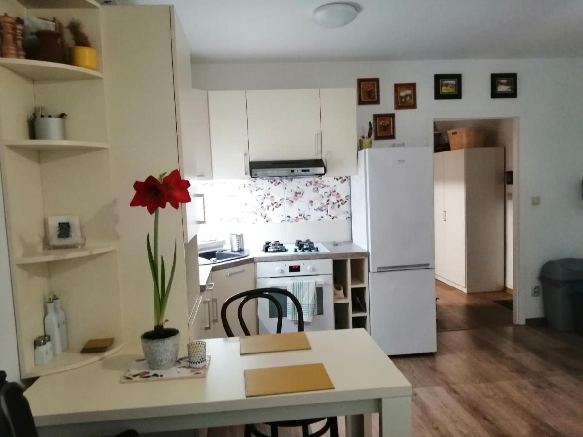 Slavik Apartment Dunajská Streda 外观 照片