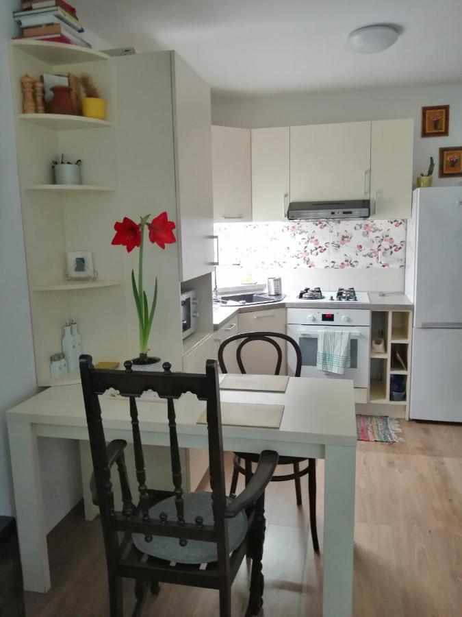 Slavik Apartment Dunajská Streda 外观 照片